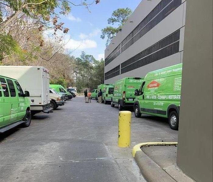 green vans lined up