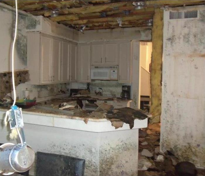 a room with mold on walls and ceiling cut out