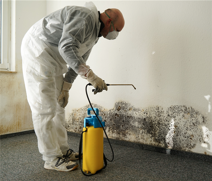 Technician wearing PPE protective gear while removing mold