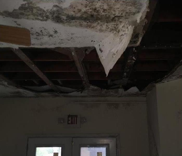 ceiling collapsed due to broken pipe, mold growth in ceiling